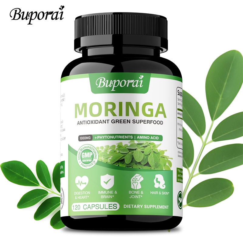 Moringa Leaf Powder - 모링가 캡슐 - 항산화제, 세포 재생