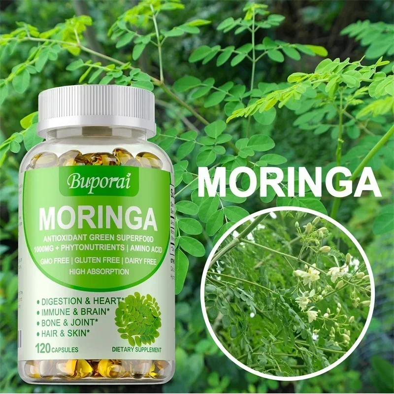Moringa Leaf Powder - 모링가 캡슐 - 면역 체계, 에너지,