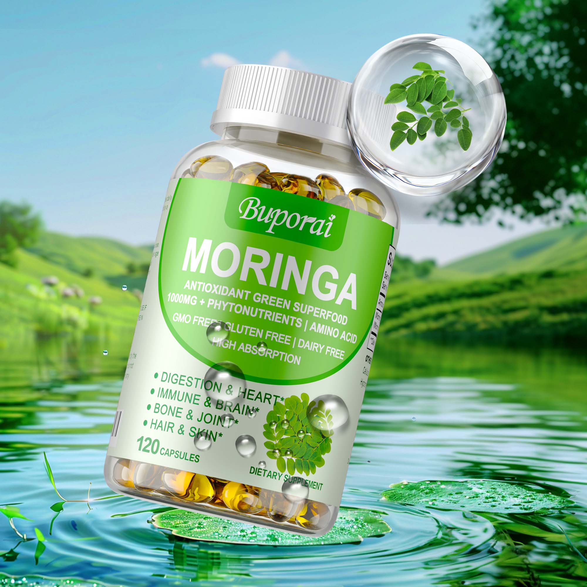 Moringa Leaf Powder - 모링가 캡슐 1000mg - 뼈, 관절