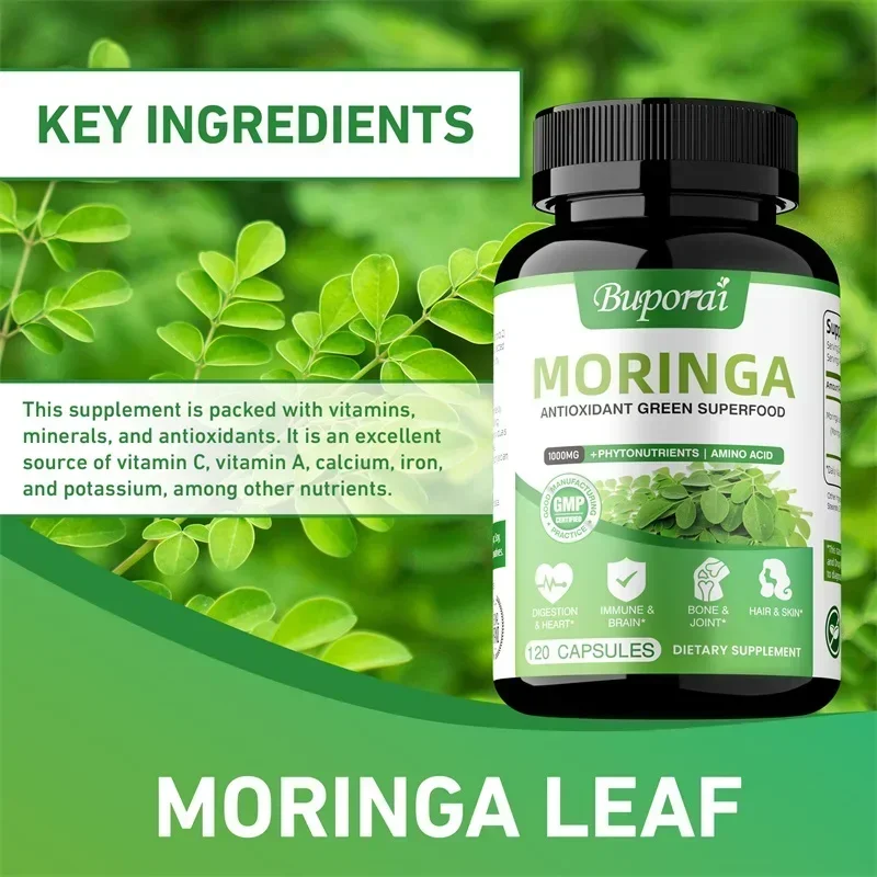 모링가 캡슐 - 항산화제, 세포 재생 촉진, 장 및 소 - Moringa Leaf Powder 리뷰 및 가격