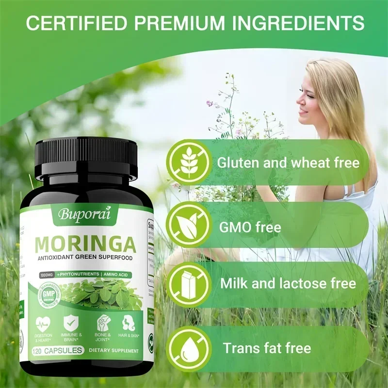 모링가 캡슐 - 항산화제, 세포 재생 촉진, 장 및 소 - Moringa Leaf Powder 리뷰 및 가격