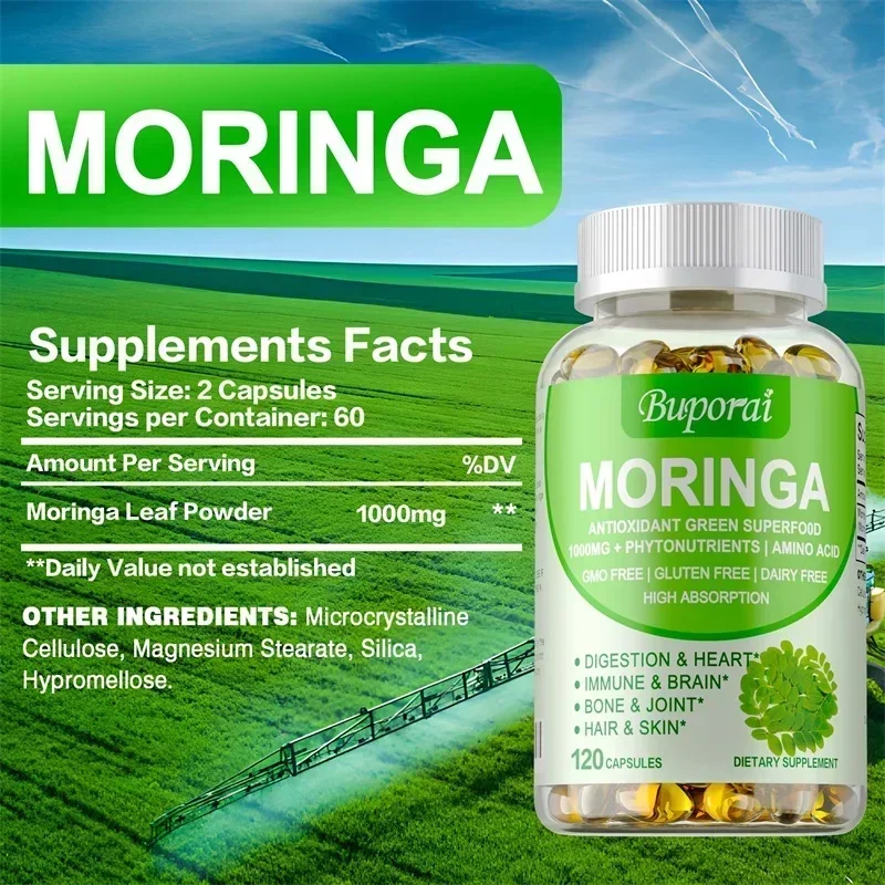 모링가 캡슐 - 면역 체계, 에너지, 신진 대사 지원, - Moringa Leaf Powder 리뷰 및 가격