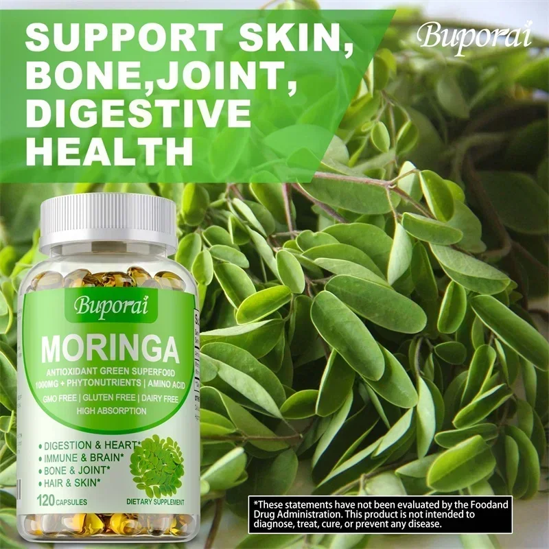 모링가 캡슐 - 면역 체계, 에너지, 신진 대사 지원, - Moringa Leaf Powder 리뷰 및 가격