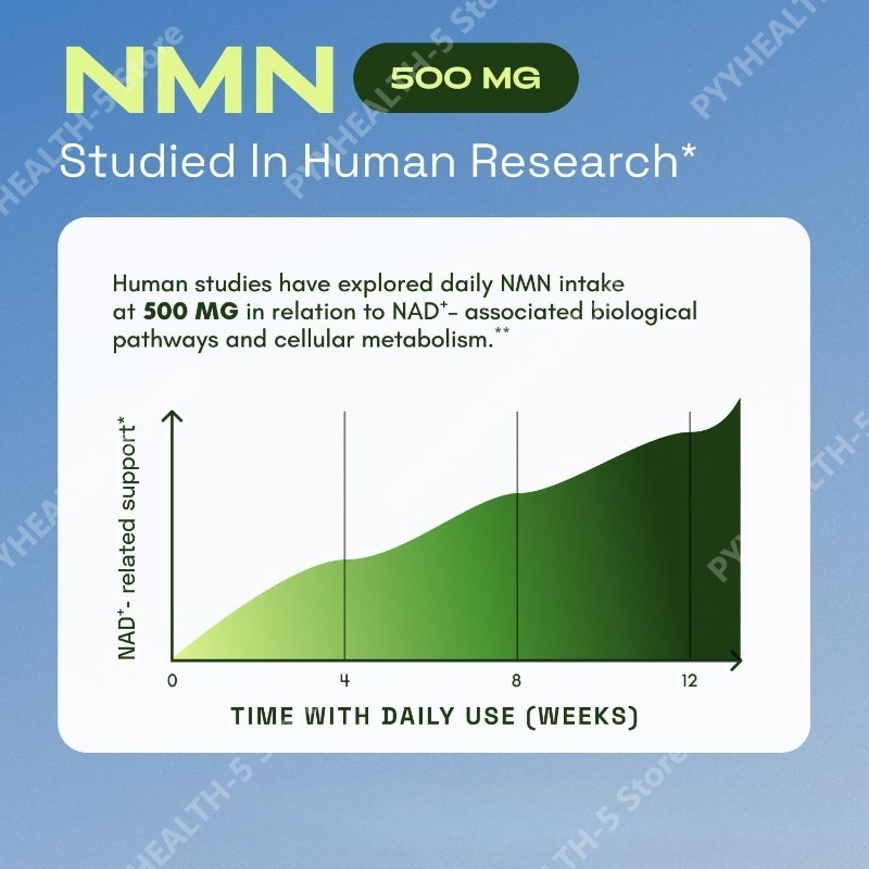 NMN 복합 보충제 1000mg 함량 TMG 퀘르세틴  - Wellness Quercetin 리뷰 및 가격
