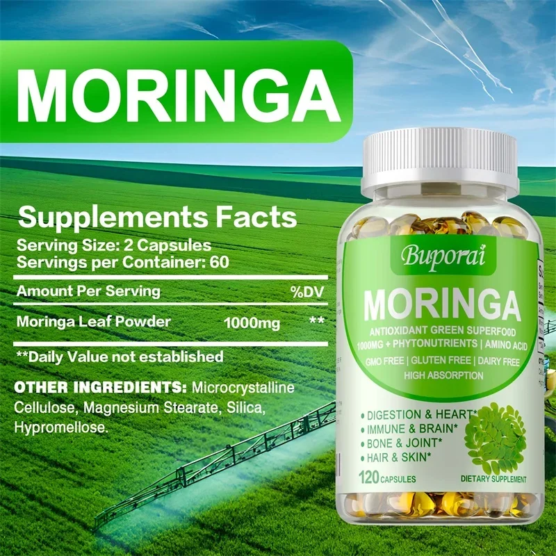 모링가 캡슐 1000mg - 뼈, 관절 및 심혈관 건강 - Moringa Leaf Powder 리뷰 및 가격