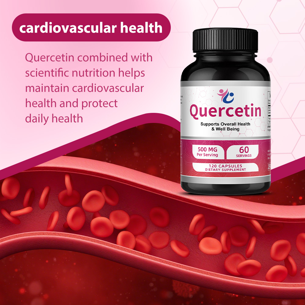 퀘르세틴 500mg 캡슐, 항산화제, 일일 면역, 호흡 - Wellness Quercetin 리뷰 및 가격